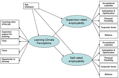 Learning Climate Perceptions as a Determinant of Employability: An Empirical Study Among European ICT Professionals